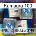 Kamagra 100 viagra5